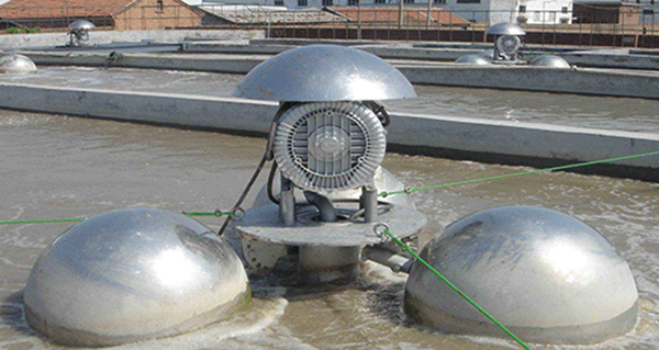 如何根據(jù)西瑪電機(jī)的外表來檢查防護(hù)等級的一致性? 如何根據(jù)西瑪電機(jī)的外表來檢查防護(hù)等級的一致性?