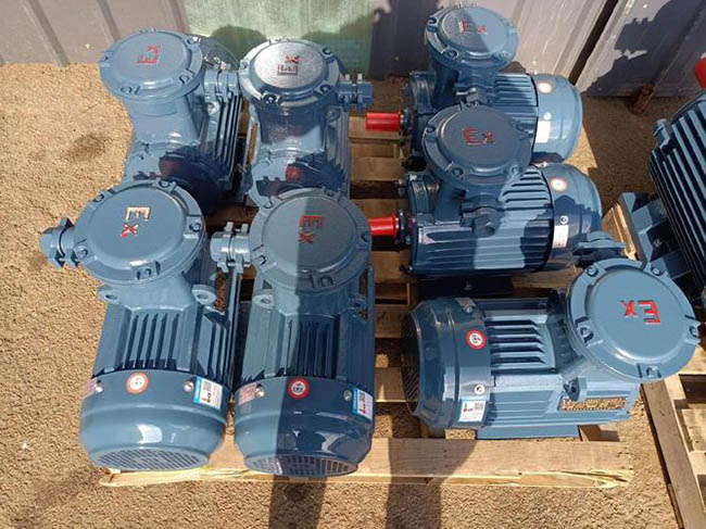 圖為西安西瑪YE系列交流電機照片 圖為西安西瑪YE系列交流電機照片